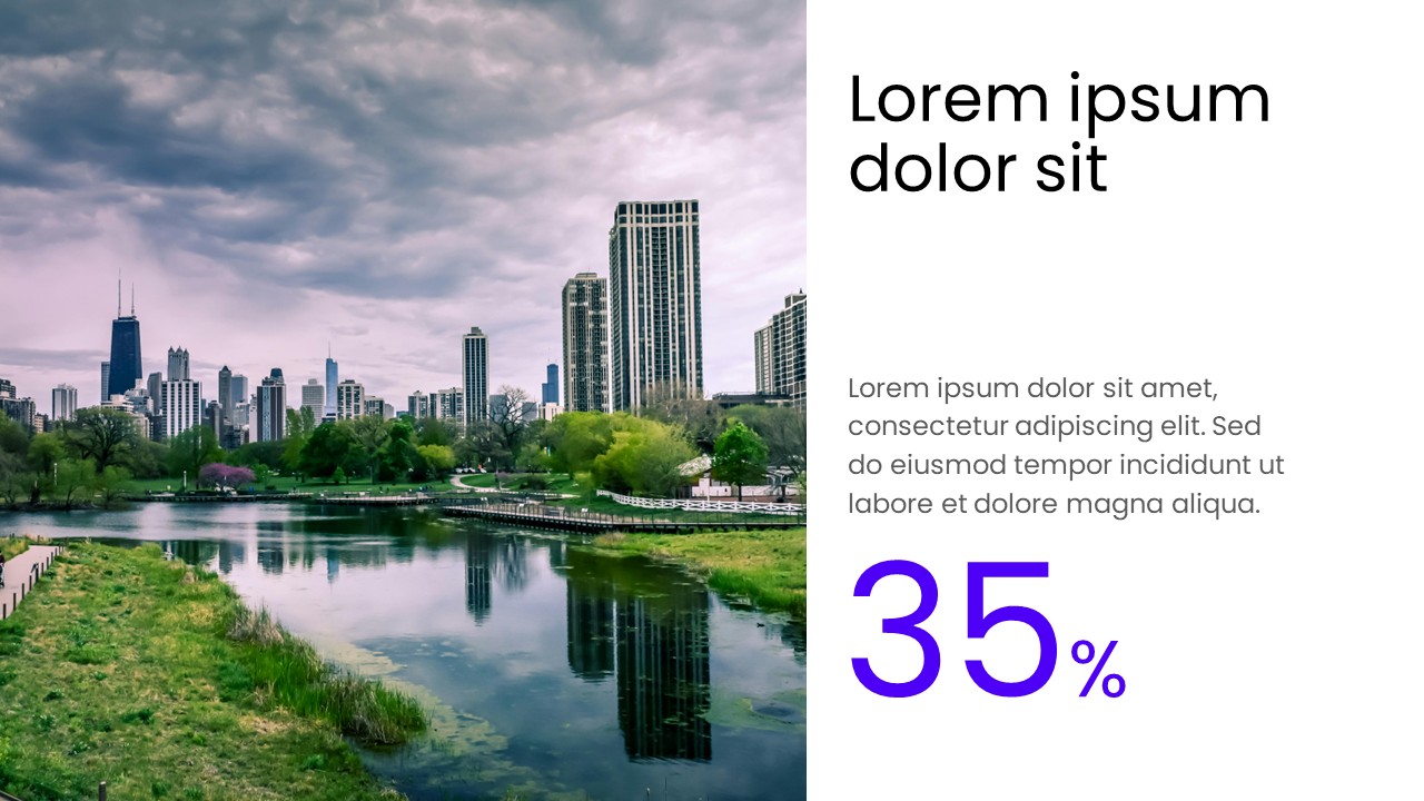 Operational Overview PowerPoint Template